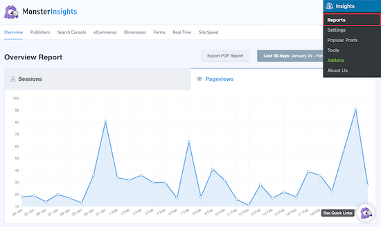 MonsterInsights comprende il traffico di WordPress