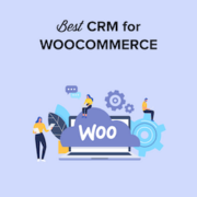 6 Best WooCommerce CRM To Grow Your Store In 2021 (Compared)