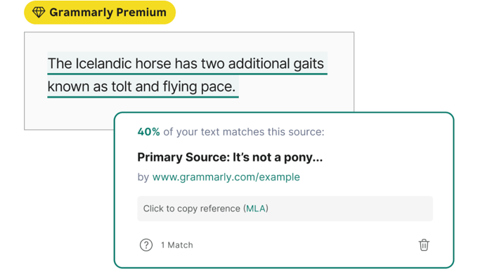 Grammarly Plagiarism Detector