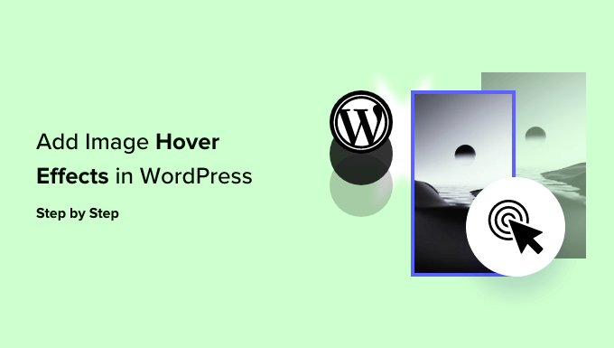 如何在 WordPress 中添加图像悬停效果（一步一步）