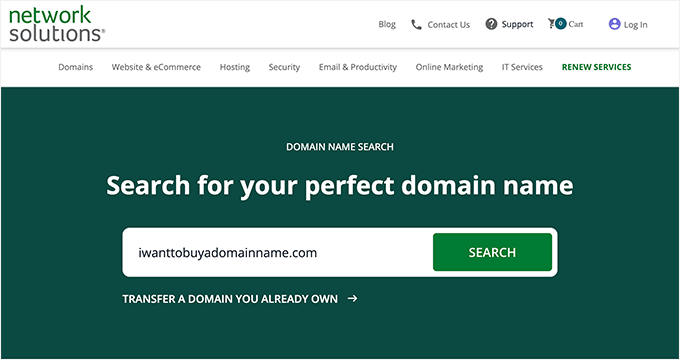 Network Solutions Domain Search