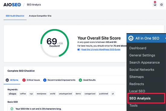 SEO site audit in All in One SEO
