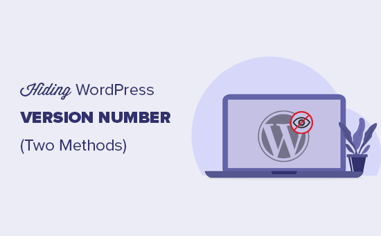 从您的网站隐藏 WordPress 版本号