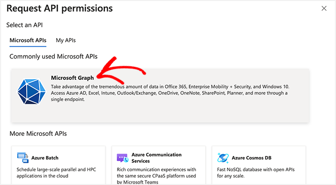 选择 Microsoft Graph 选项