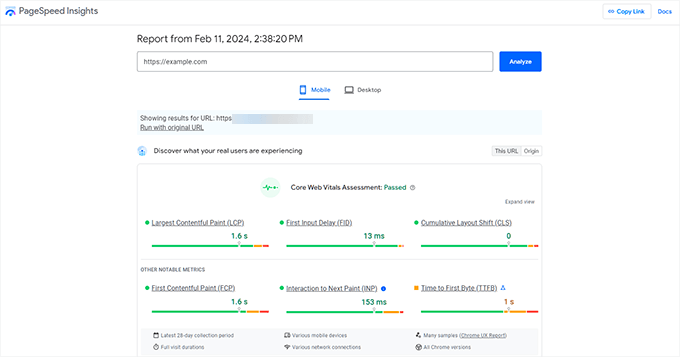 Page speed insights test