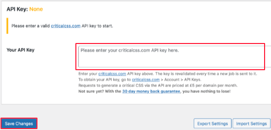 Paste Your Critical CSS API Key