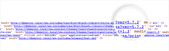 WordPress version shown with CSS and JS files