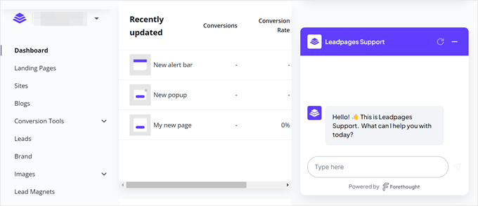 Leadpages' chatbot support