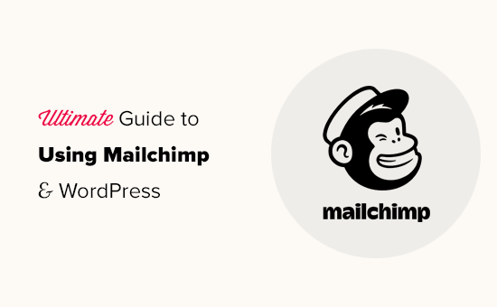 将 Mailchimp 与 WordPress 结合使用