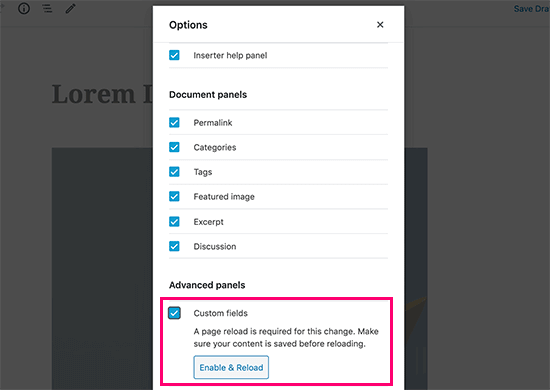 Enable display custom fields