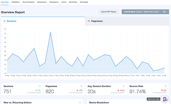 MonsterInsights 报告概述