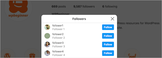 View Instagram followers