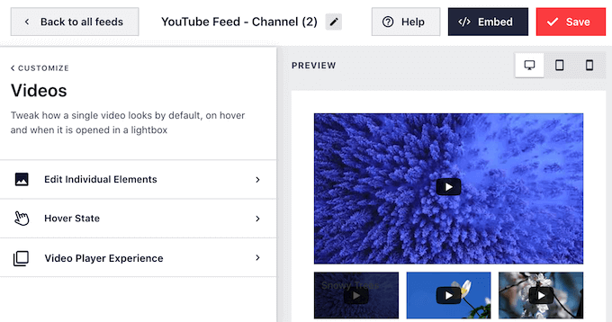 The Smash Balloon YouTube video editor settings