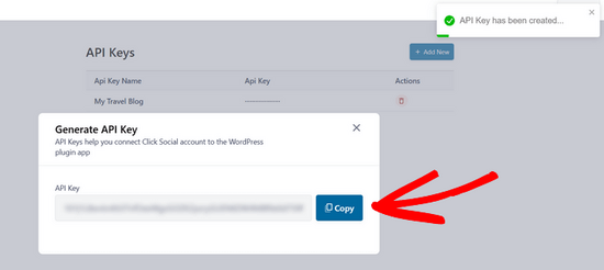 Copy the API key