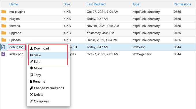 下载、查看或编辑 debug.log 文件