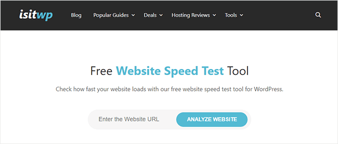 IsItWP speed test tool