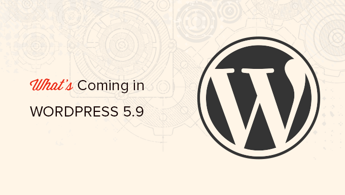 Wordpress 5. Мощные функции WORDPRESS. Внешний вид WORDPRESS 5.0.21.