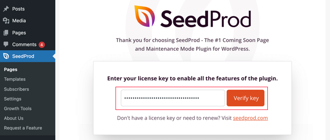 Digite sua chave de licença SeedProd