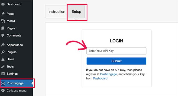 Paste API keys