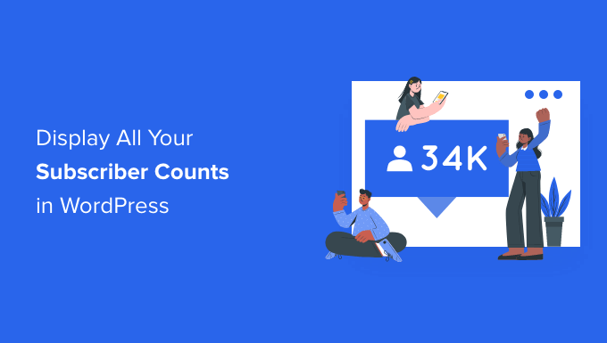 如何在 WordPress 中显示所有订阅者数量