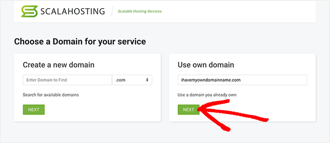 Choose a domain name on the ScalaHosting site