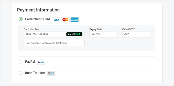 ScalaHosting payment method and details