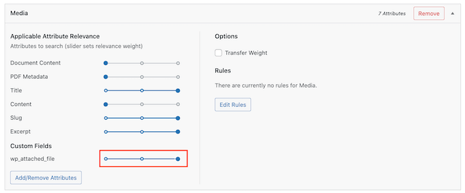 SearchWP's custom relevancy settings