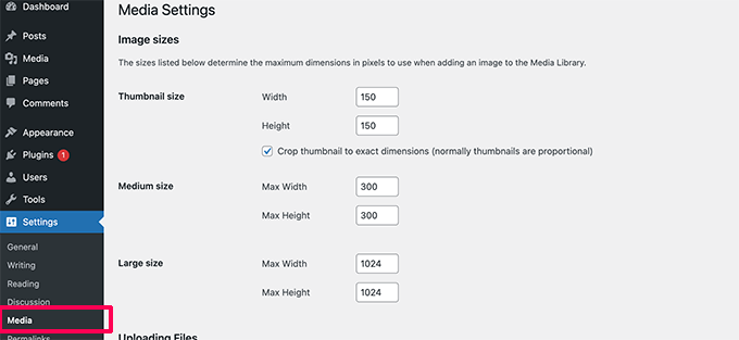 height width for responsive layouts wordpress