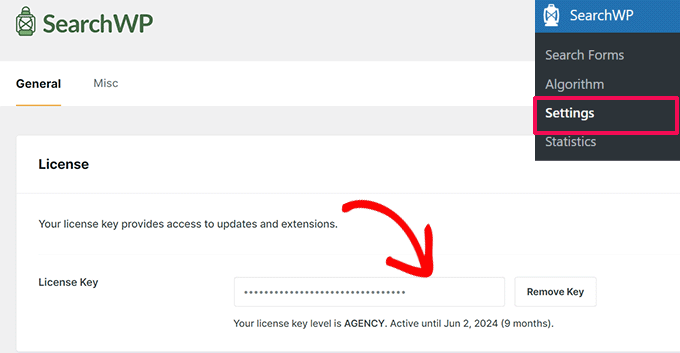 Enter SearchWP license key