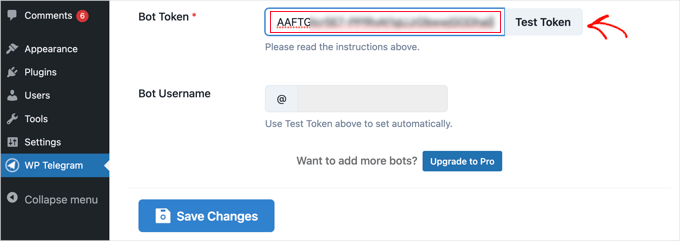 Paste the Token Into the Plugin's Settings