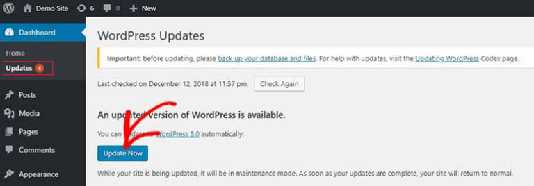 Should I Update WordPress Or Plugins First? (Proper Update Order)