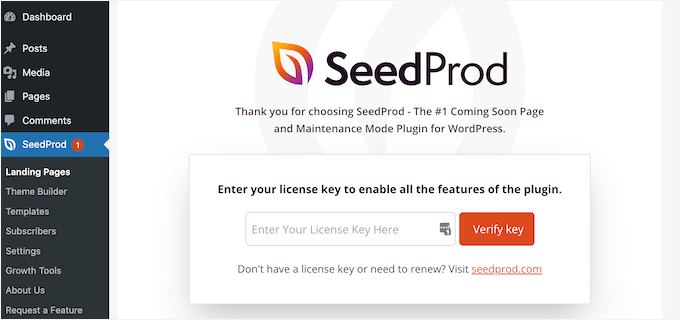 SeedProd license key