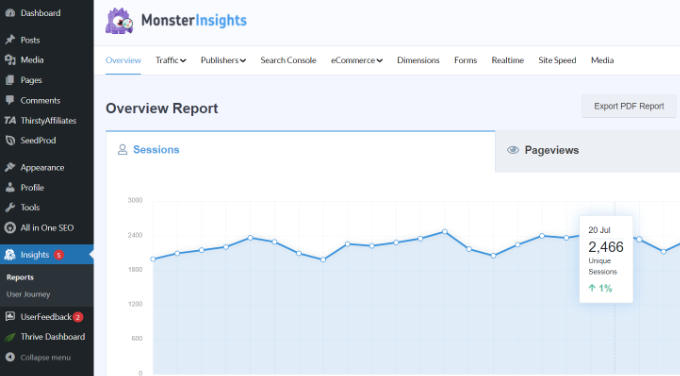 MonsterInsights 中的概览报告