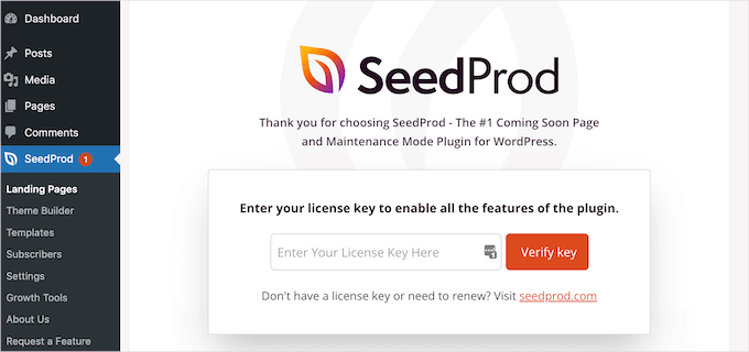 Enter SeedProd license key