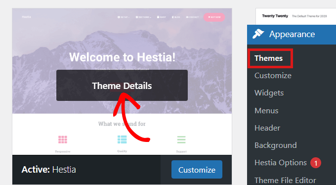 Click on Theme Details once you're on the Themes page