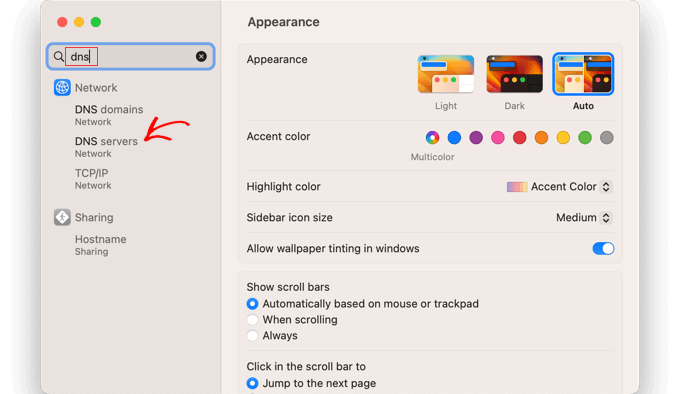 在 Mac 系统设置中，搜索“DNS”