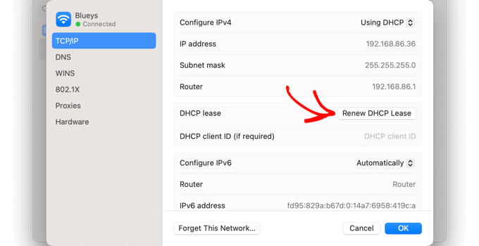 单击“续订 DHCP 租用”按钮