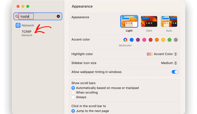 在 Mac 系统设置中，搜索“TCP/IP”