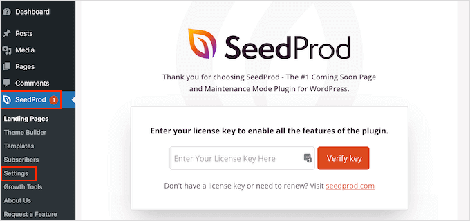 Entering your SeedProd license