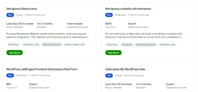 Upwork job example