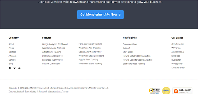 MonsterInsights footer