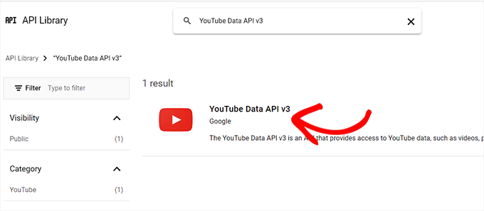 搜索 YouTube 数据 API v3 选项