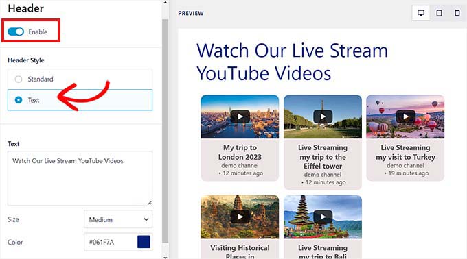 Youtube allow best sale embedding live stream