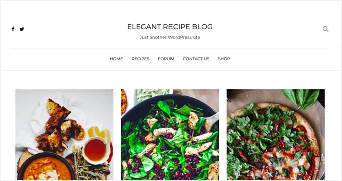 24 Best WordPress Themes for Recipe and Food Blogs (2024)