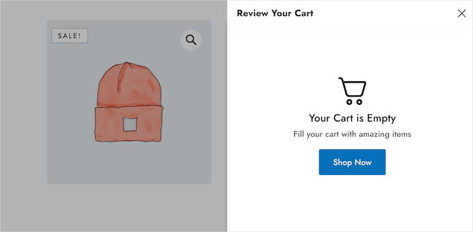 The 'Empty Cart' screen