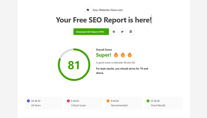 seo analyzer report