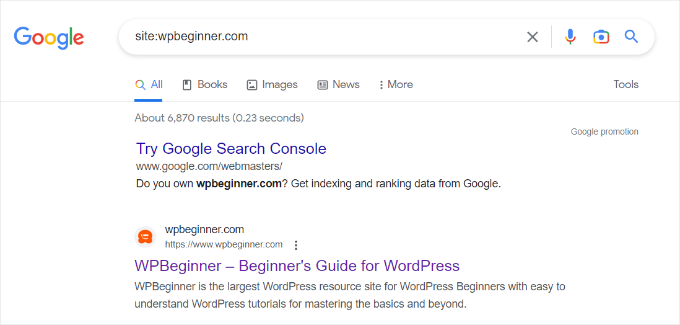 Site search operator on Google