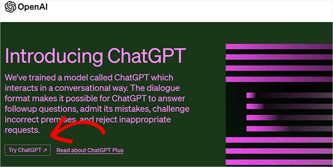 尝试 ChatGPT