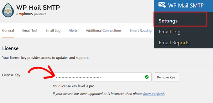 在字段中输入您的 WP Mail SMTP 许可证密钥