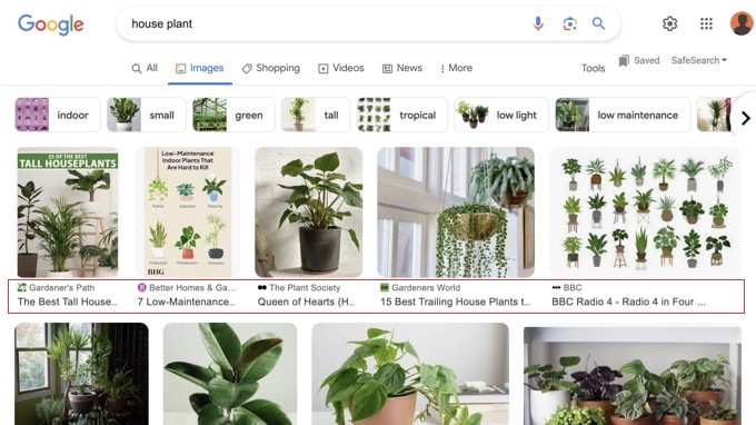 An example of a Google image search